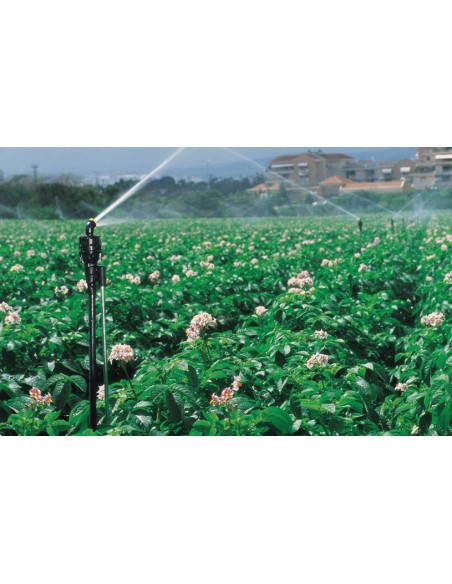 przykład zastosowania IRRISTAND 52