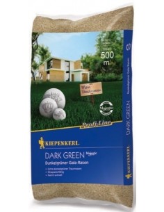 Ciemnozielony trawnik Gala Dark Green Kiepenkerl worek 10 kg / 500m2